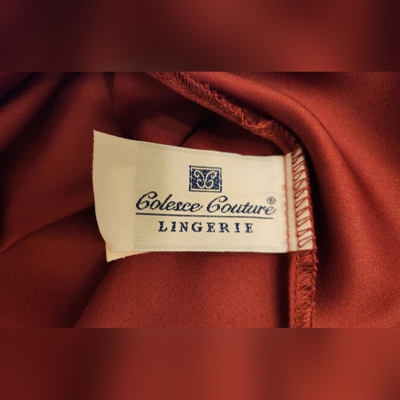 Vintage Burgundy Colesce Couture Lingerie size Small - Picture 3 of 14